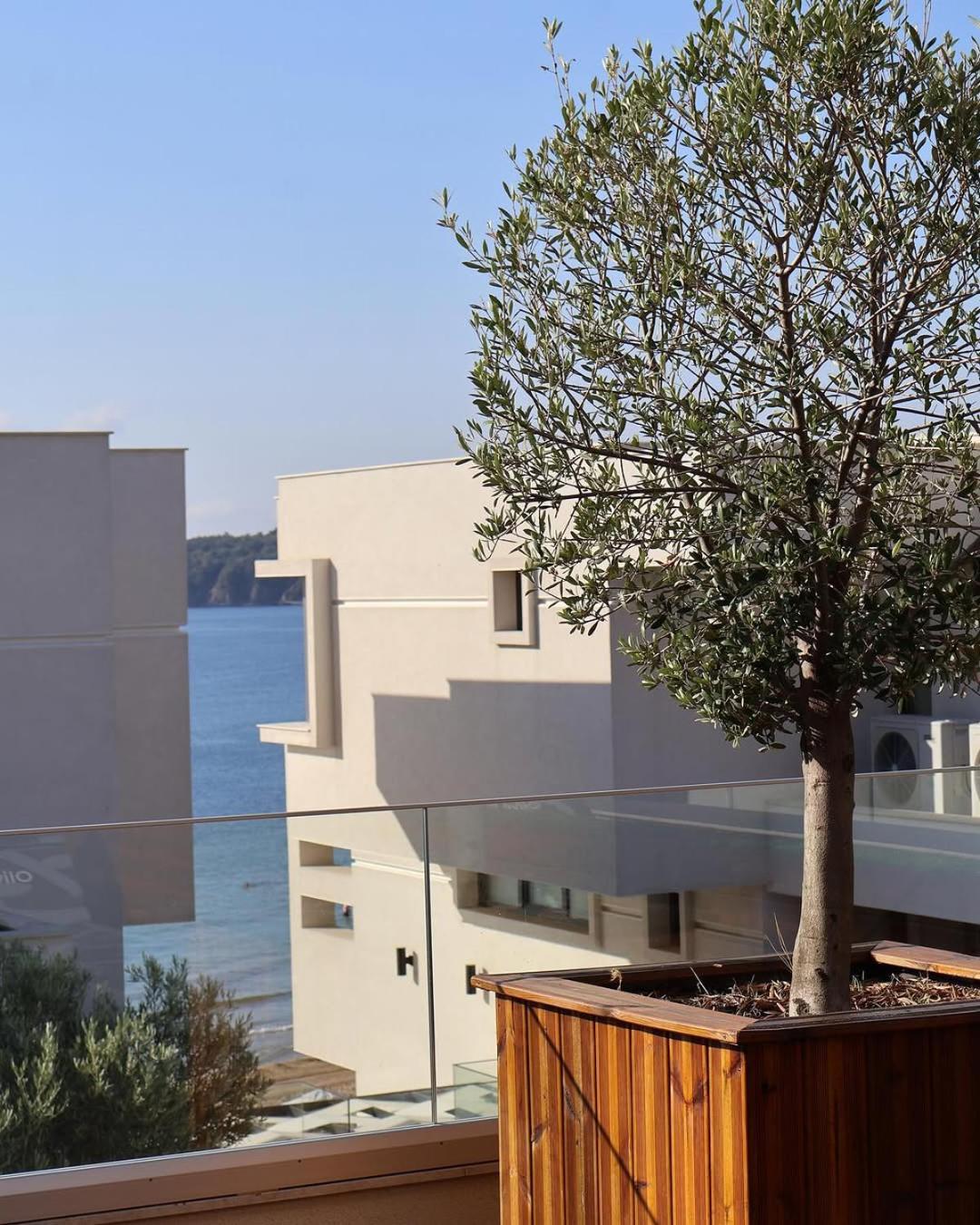 Olive Villas Sozopol Esterno foto